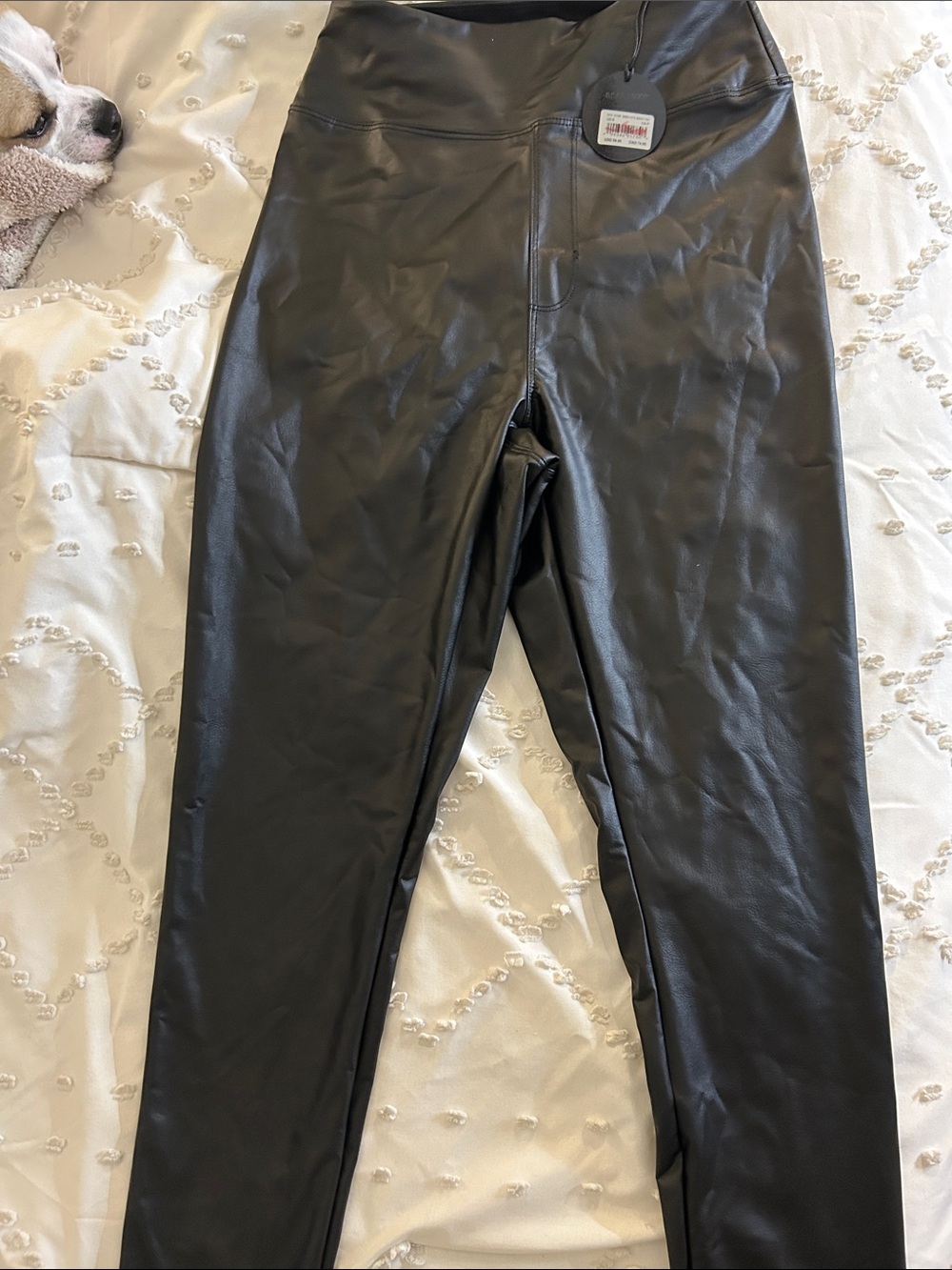 Women's Faux Leather Leggings - Black